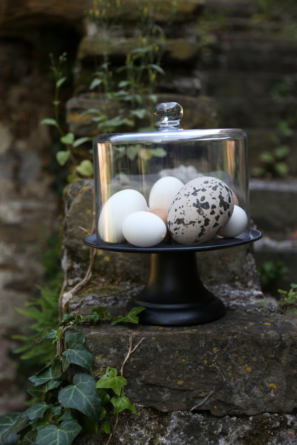 FIORIRÀ UN GIARDINO | Alzata in melamina c/cloche 24 - immagine 5