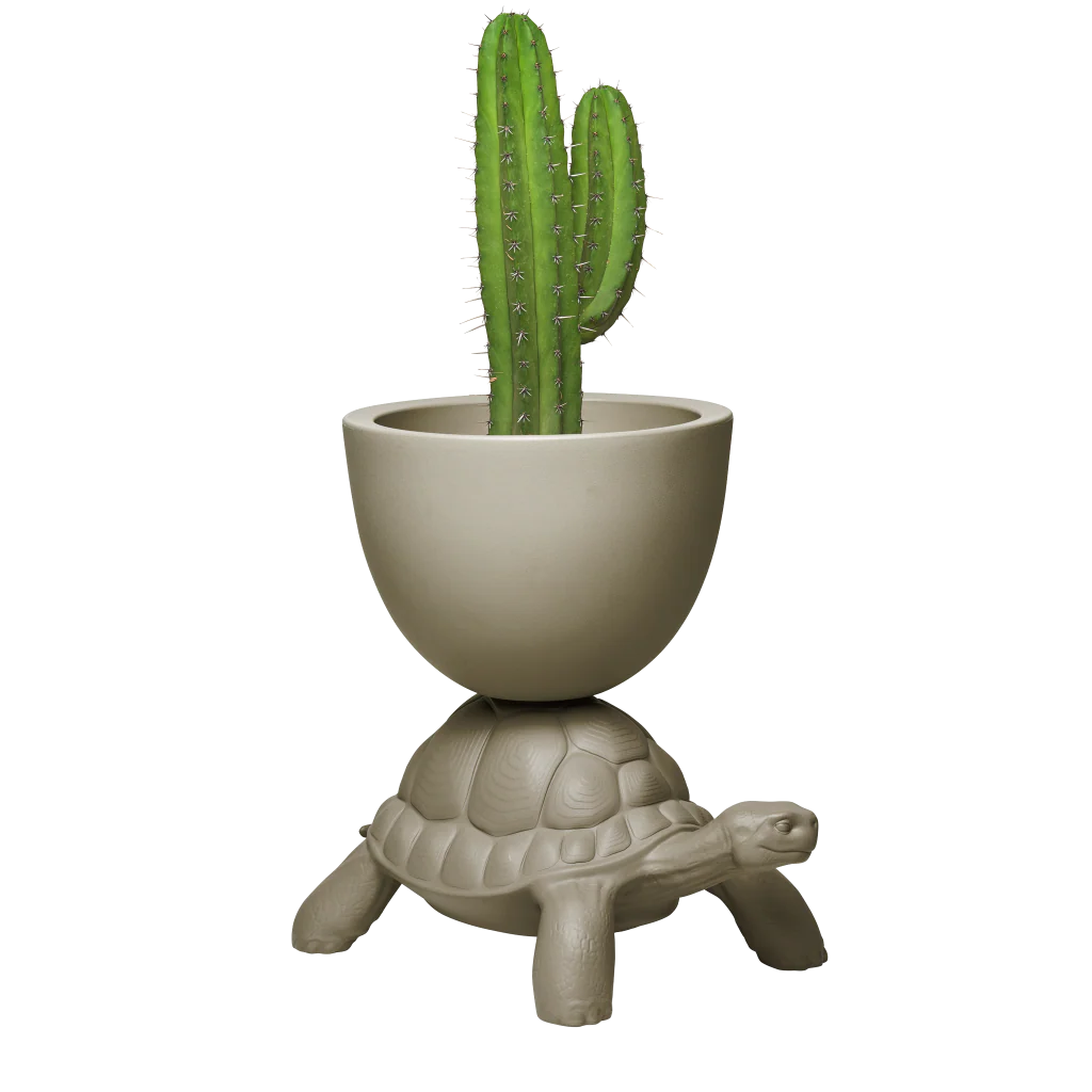 Vaso Turtle Dove Grey