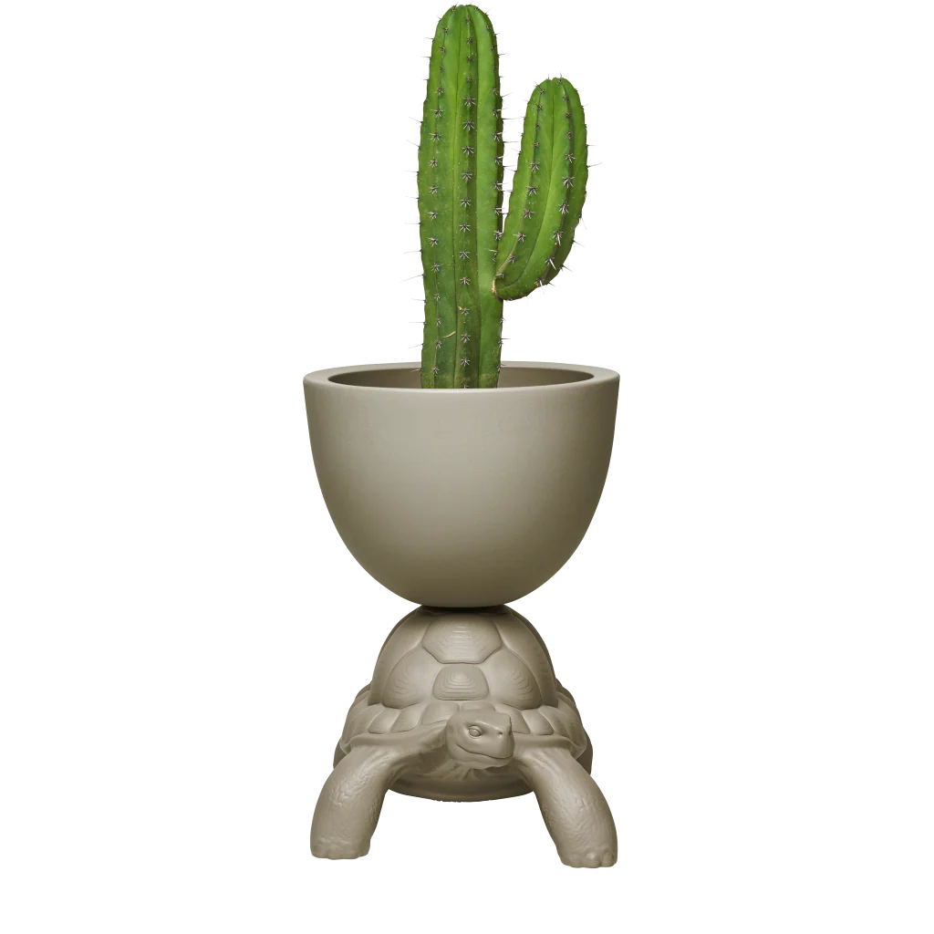 Vaso Turtle Dove Grey - immagine 3